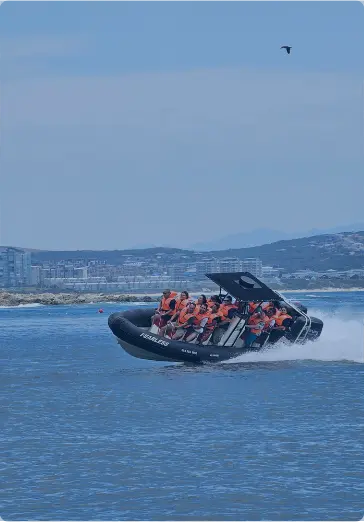 Things to do in Mossel Bay